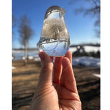 Wish Keeper Songbird dandelion resin bird decor with whole preserved dandelion clock in clear resin, handmade Canada