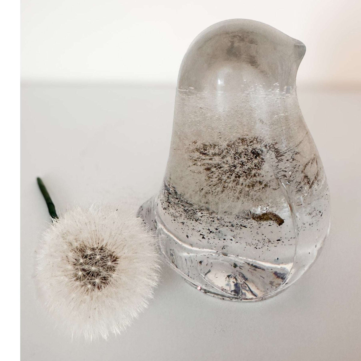 Wish Keeper Songbird dandelion resin bird decor with whole preserved dandelion clock in clear resin, handmade Canada