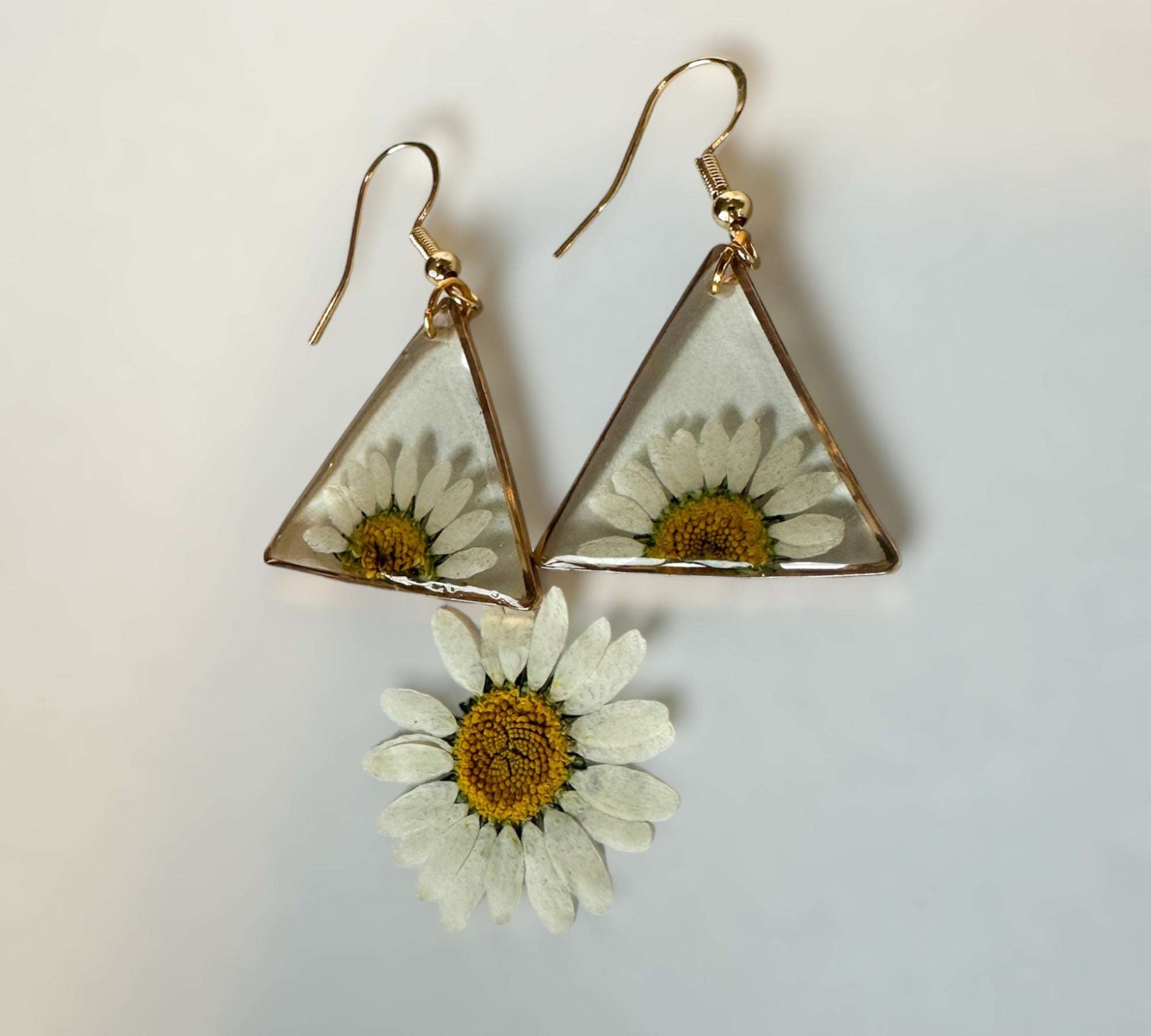 Daisy Dreams: Pressed Daisy Floral Earrings for Endless Charm