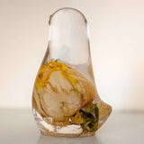 Sunshine Rose Songbird yellow rose resin bird decor with real preserved yellow rose in clear resin, handmade Canada