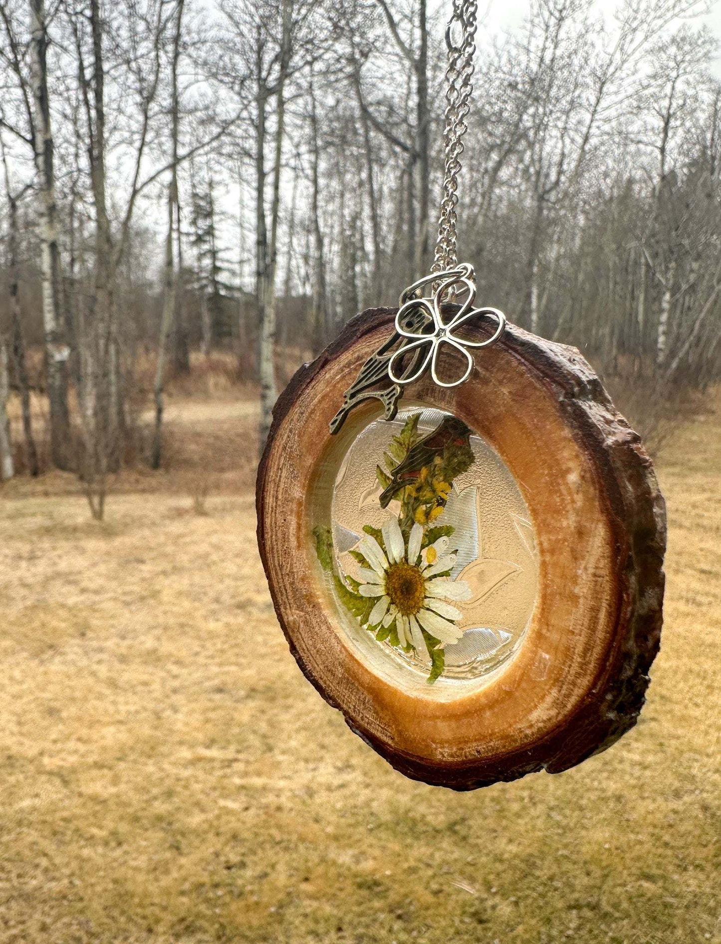 Enchanted Forest: Rustic Wood Suncatcher Home Decor Gift Idea