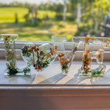 Boreal Mushroom LOVE resin decor with hand-foraged mushrooms, ferns, moss, and gold leaf accents in clear letters