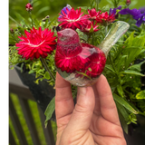 Crimson Meadow Songbird resin decor with preserved deep pink strawflowers and green fern handcrafted in clear resin