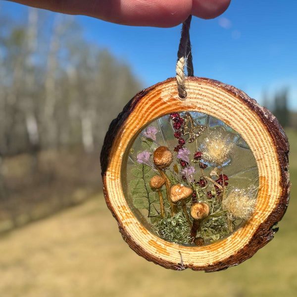Suncatcher Whimsical Mushroom & Bunny Tail Forest Suncatcher 
