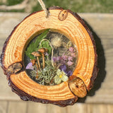 Suncatcher Whimsical Mushroom & Bunny Tail Forest Suncatcher 