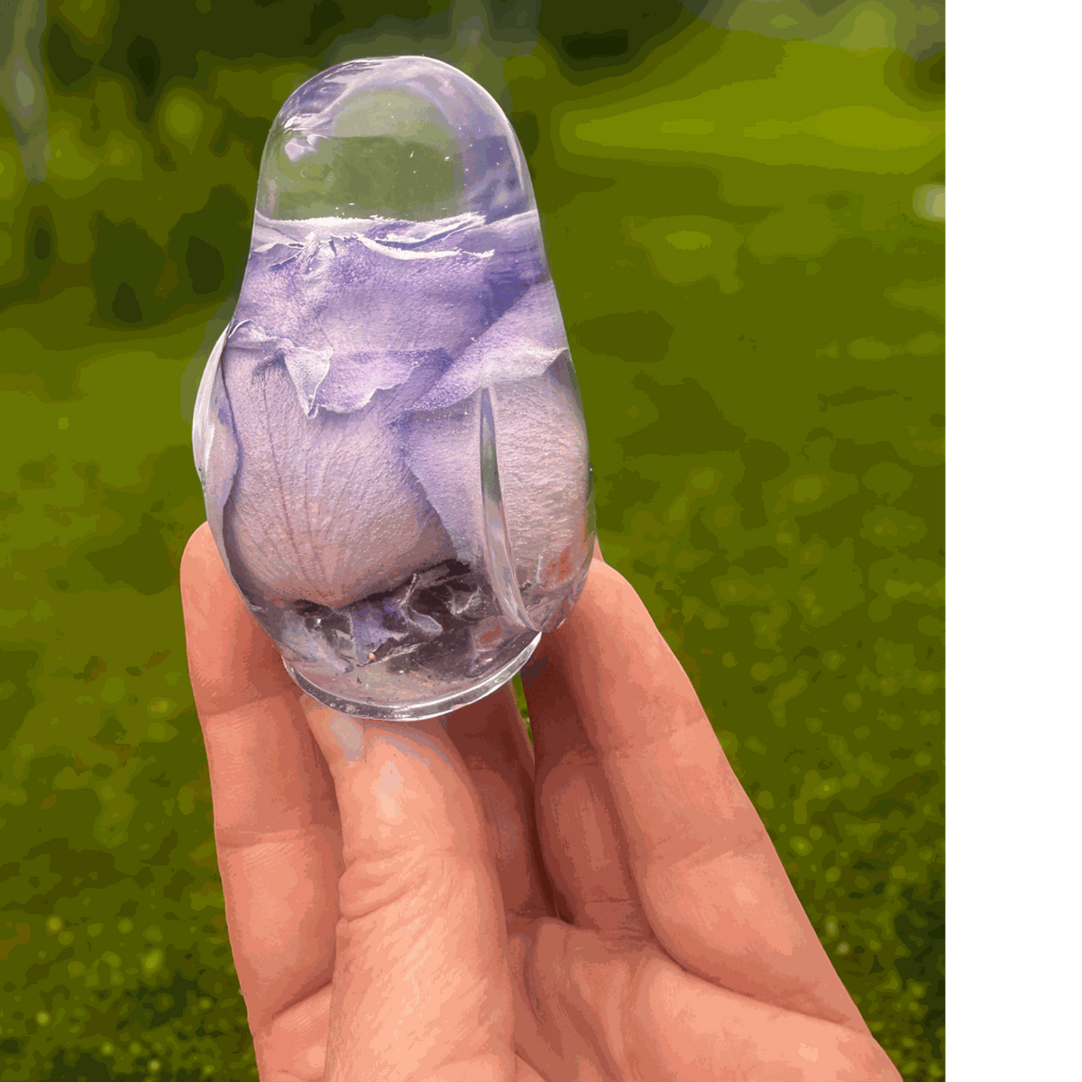 Purple rose preserved inside clear resin songbird decor with lavender tones