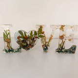 Boreal Mushroom LOVE word art with real hand-foraged mushrooms, ferns, moss, and gold leaf accents encased in clear resin decor