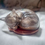 Handmade resting cat memorial figurine in clear resin with embedded botanicals and personal pet keepsakes
