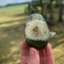 Enchanted Dandelion Wishing Bird - Handmade Resin Fairy Puff Bird