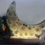 Enchanted Fairy Dandelion Moon – Color-Shifting Resin Handmade Decor