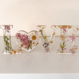 Daisy resin word artwith real pressed white daisy and blush blooms, gold leaf flakes, and heart-shaped O design