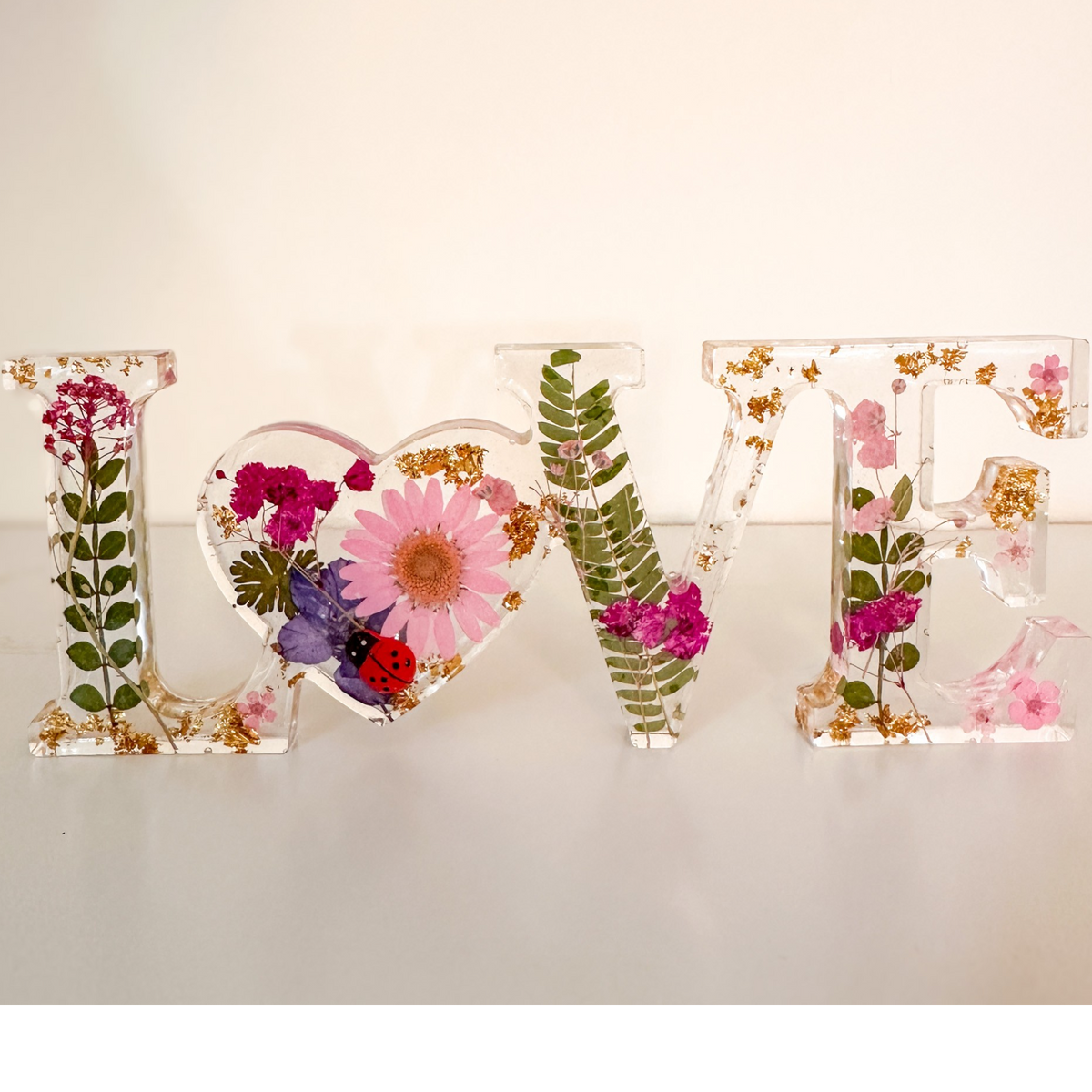 Meadow Ladybug LOVE | Pink Daisy Resin Word Art