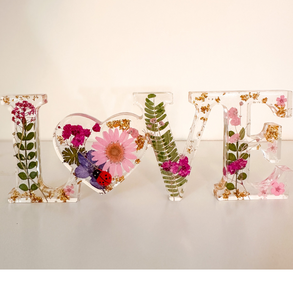 Meadow Ladybug LOVE | Pink Daisy Resin Word Art