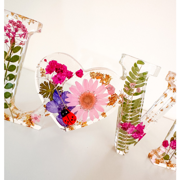 Meadow Ladybug LOVE | Pink Daisy Resin Word Art