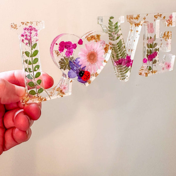 Meadow Ladybug LOVE | Pink Daisy Resin Word Art
