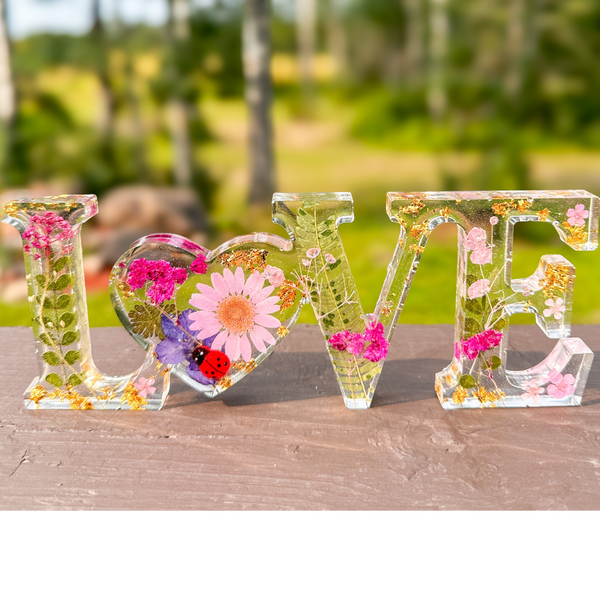 Meadow Ladybug LOVE | Pink Daisy Resin Word Art