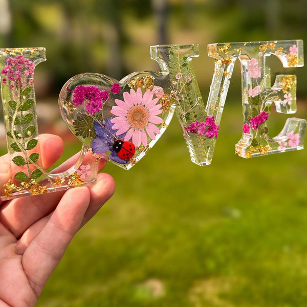 Meadow Ladybug LOVE | Pink Daisy Resin Word Art