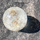 Dandelion Fairy Wishes - Handmade Floating Dandelion Resin Light Decor