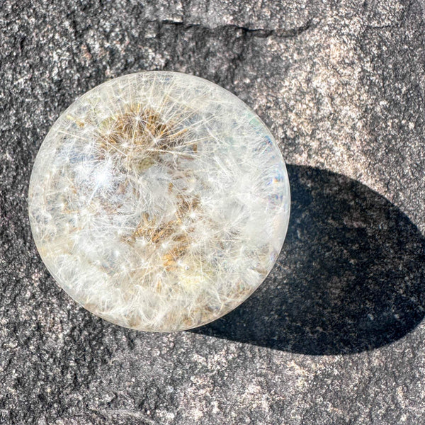 Dandelion Fairy Wishes - Handmade Floating Dandelion Resin Light Decor