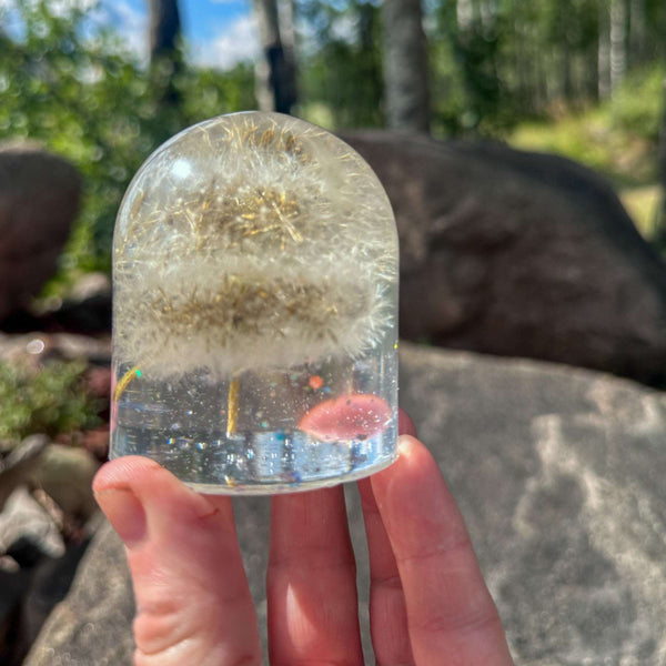 Dandelion Fairy Wishes - Handmade Floating Dandelion Resin Light Decor