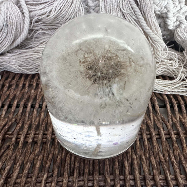Dandelion Fairy Wishes - Handmade Floating Dandelion Resin Light Decor