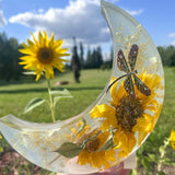 Sunflower Moon - Handmade Resin Moon with Real Flowers & Dragonfly