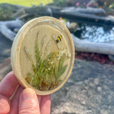 Handmade Boreal Forest Wood Coaster - Tiny Forest Mushrooms & Flowers