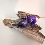 Purple Pansy resin bird decor piece with embedded real pressed purple pansy flowers, clear glossy finish, perched on driftwood.