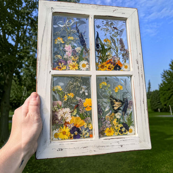 Pressed Flower Window Frame with a distressed white wood finish and four resin panes containing real dried wildflowers and a butterfly.