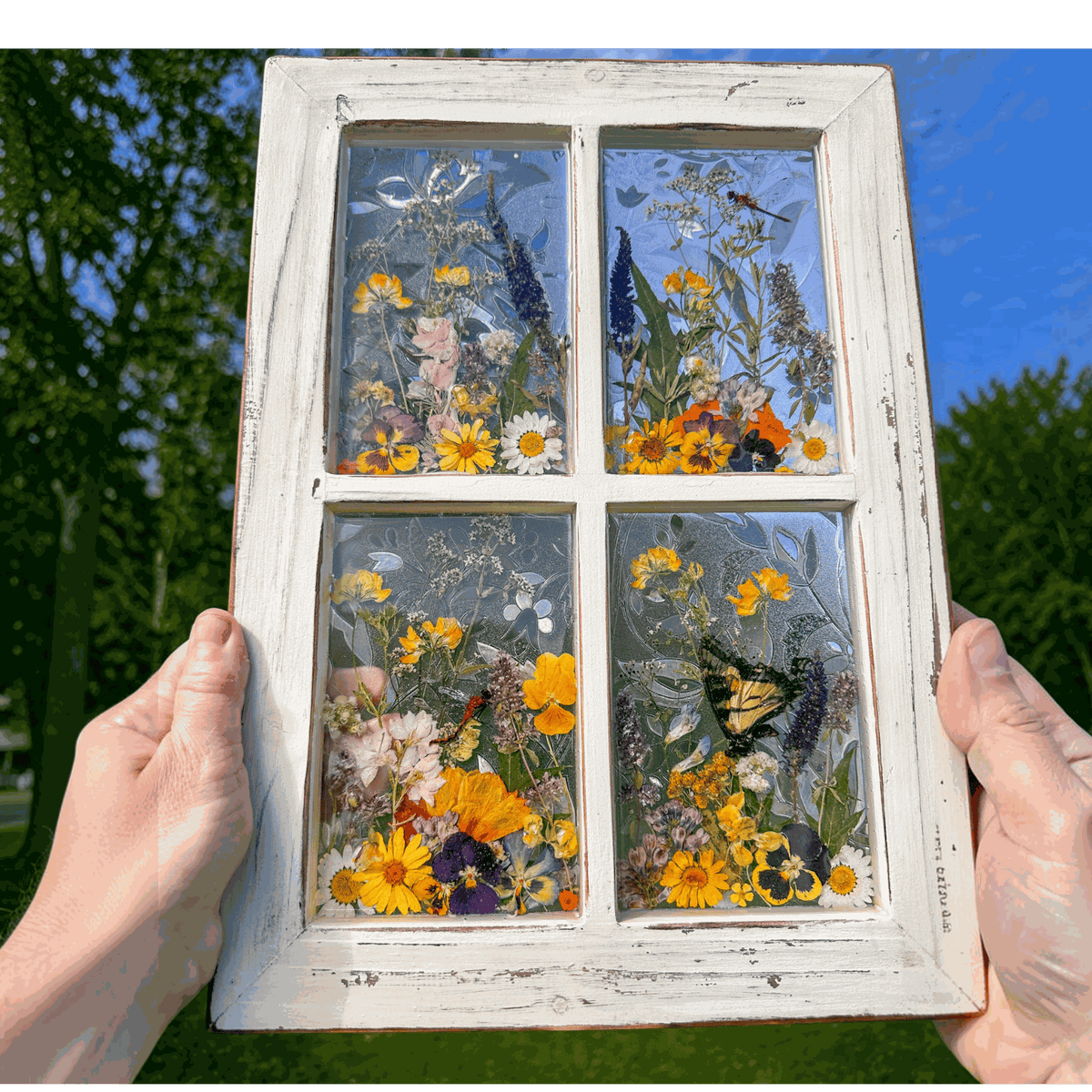 Pressed Flower Window Frame with white distressed wood, four resin panes featuring real dried wildflowers, dragonflies, and a butterfly.