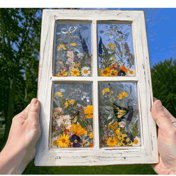 Pressed Flower Window Frame with white distressed wood, four resin panes featuring real dried wildflowers, dragonflies, and a butterfly.