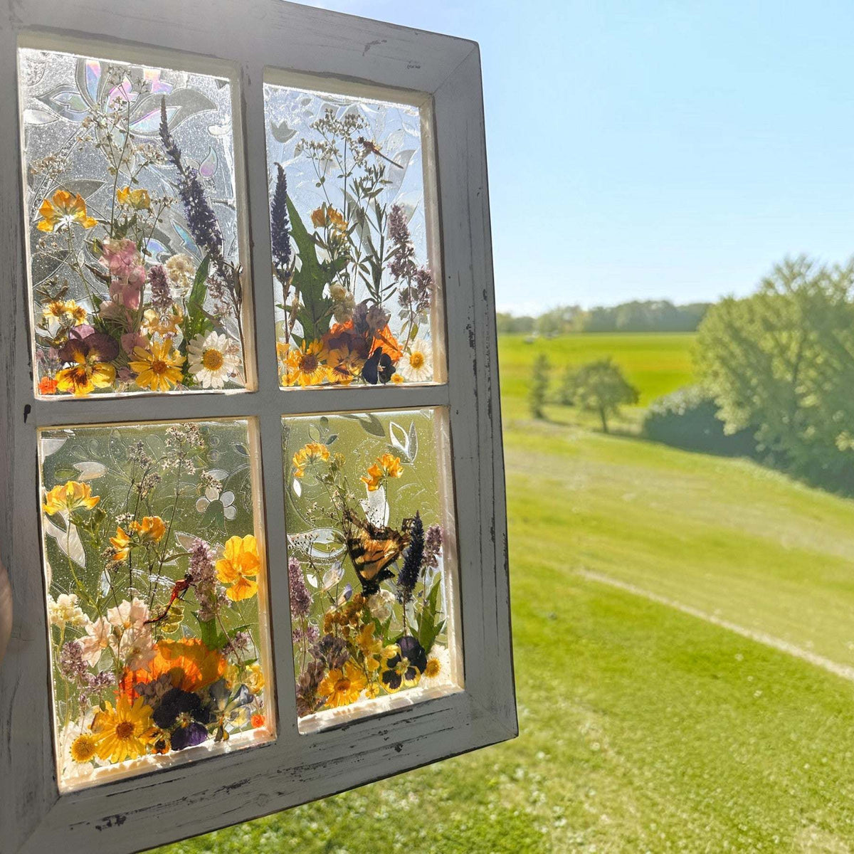 Pressed Flower Window Frame with white distressed wood, four clear resin panes featuring real pressed wildflowers and an ethically sourced butterfly.