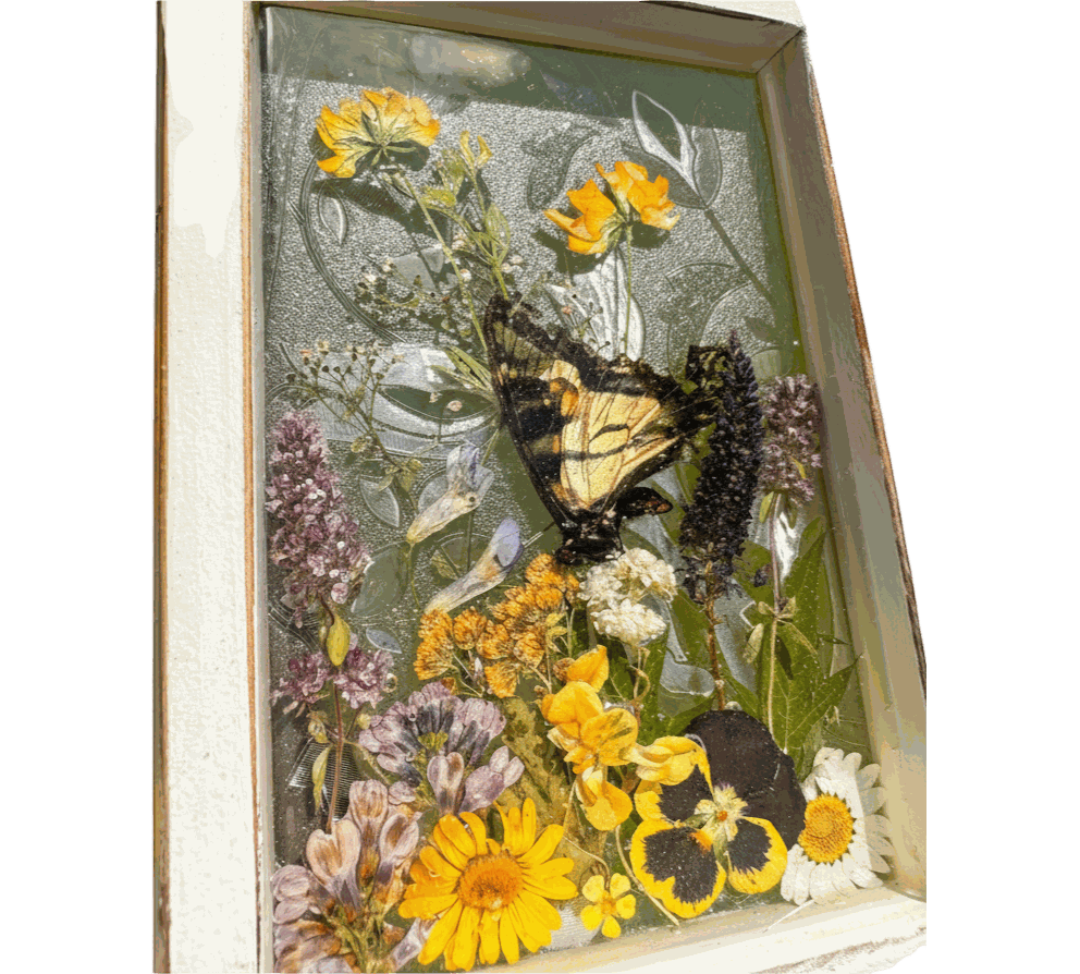 Pressed Flower Window Frame wall art with yellow, purple, and white pressed flowers and a butterfly set in a distressed white wood frame.