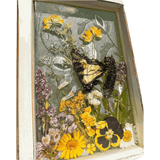 Pressed Flower Window Frame wall art with yellow, purple, and white pressed flowers and a butterfly set in a distressed white wood frame.