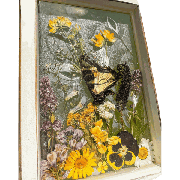 Pressed Flower Window Frame wall art with yellow, purple, and white pressed flowers and a butterfly set in a distressed white wood frame.
