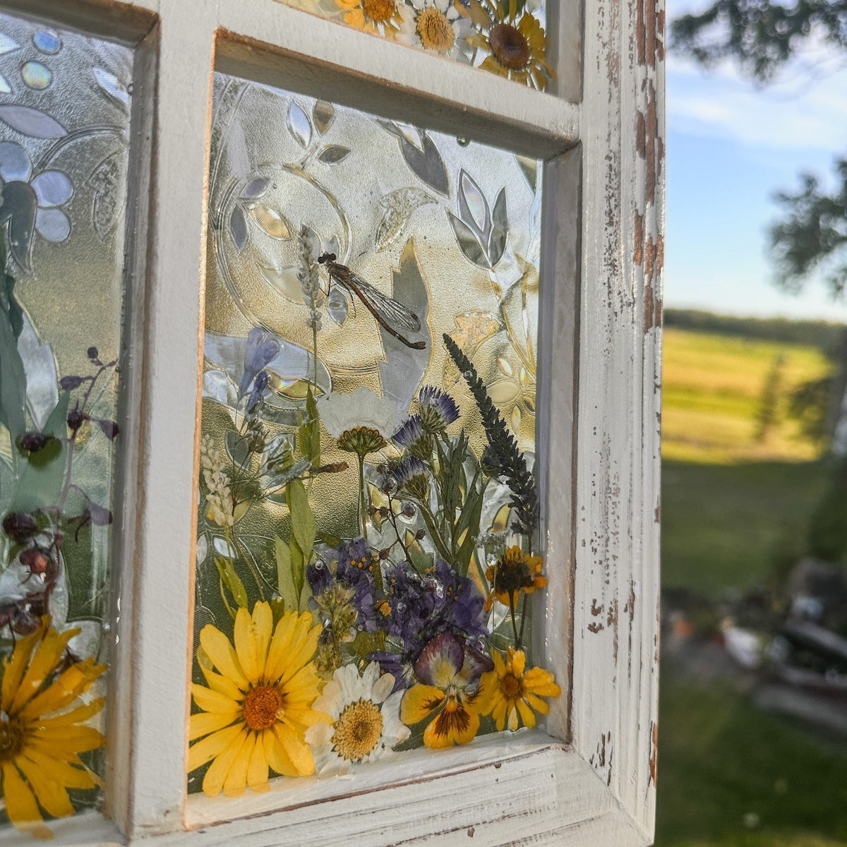 Pressed Flower Window Frame with real dried yellow, white, and purple wildflowers, a swallowtail butterfly, and dragonflies set in resin within a distressed white wood frame