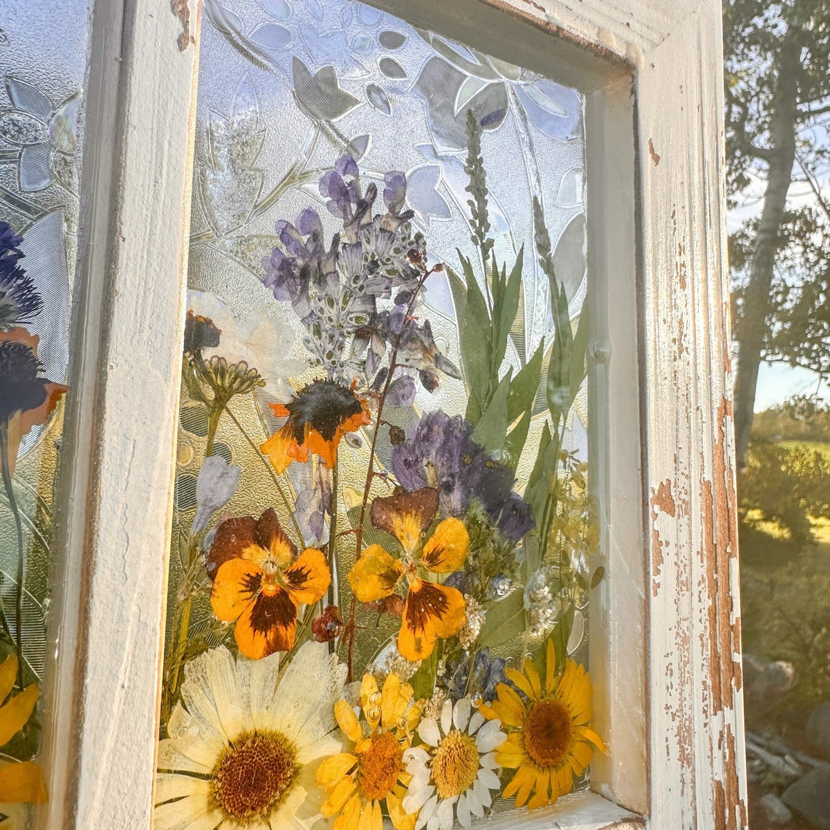 Pressed Flower Window Frame with real dried yellow, white, and purple wildflowers set in clear resin in a distressed white wood farmhouse frame