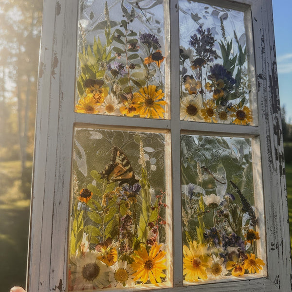 Pressed Flower Window Frame with white distressed wood, featuring real pressed yellow, white, and purple flowers and butterflies in clear resin panes.