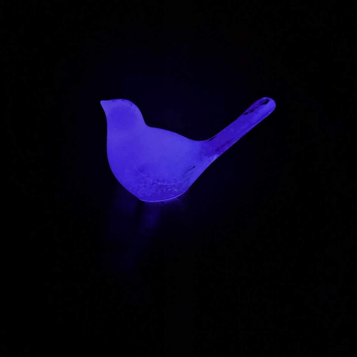 Glow in the Dark Resin Bird, violet translucent resin with a softly glowing finish and raised tail silhouette