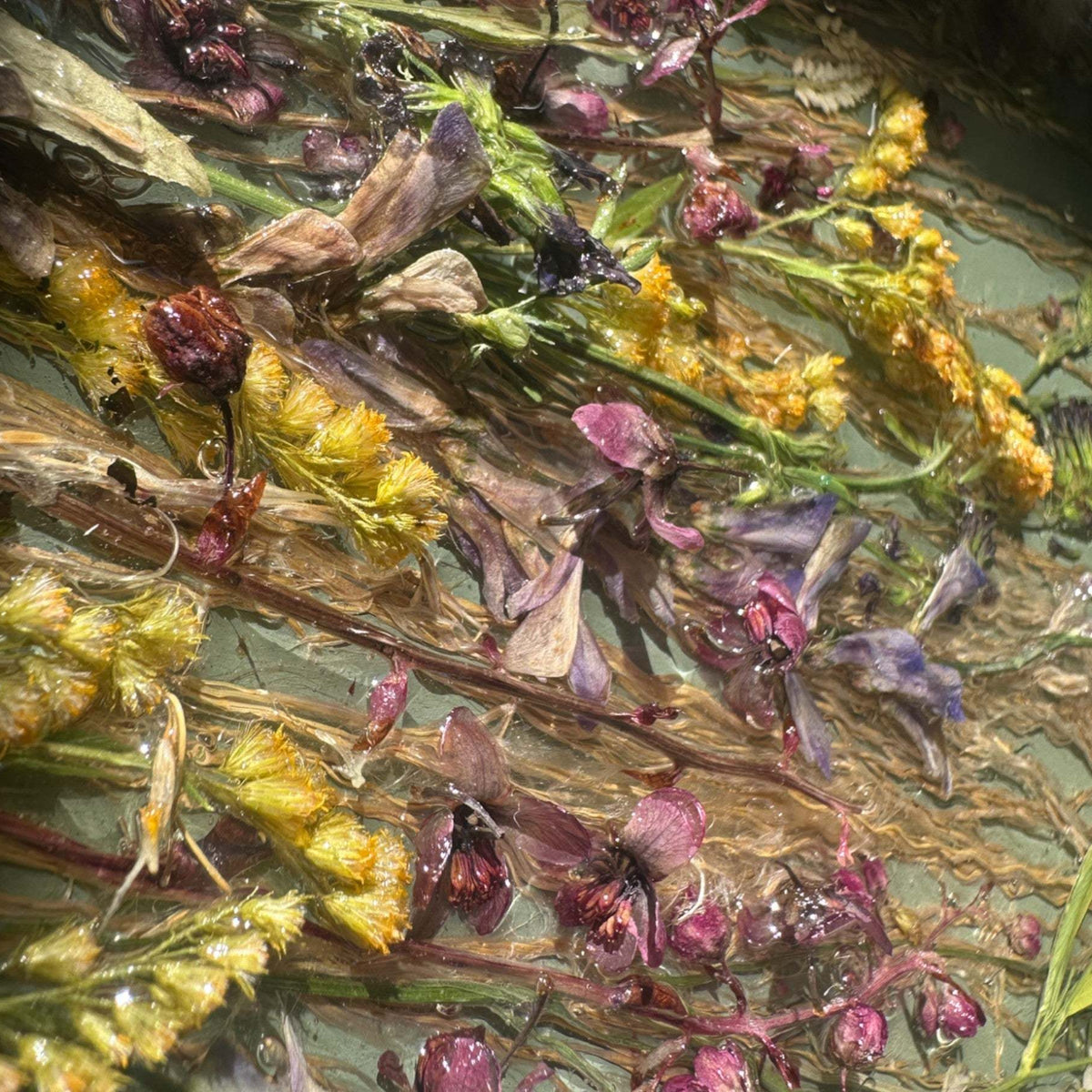 Botanical Wall Art - Whispering Meadows #1 Handmade Resin Wall Art
