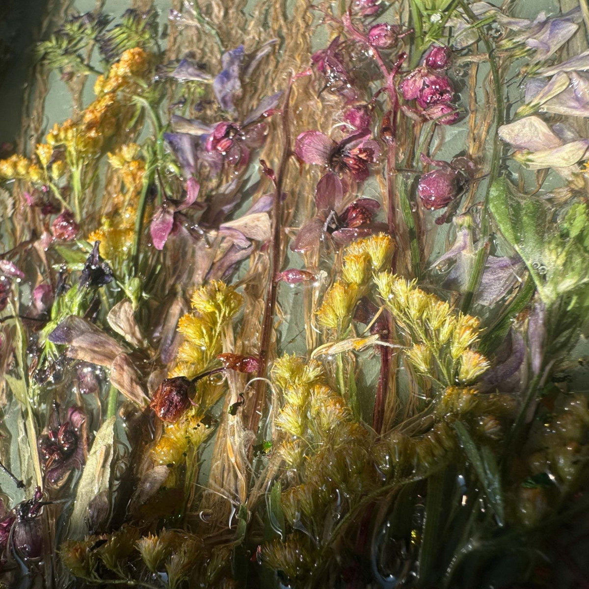 Botanical Wall Art - Whispering Meadows #1 Handmade Resin Wall Art