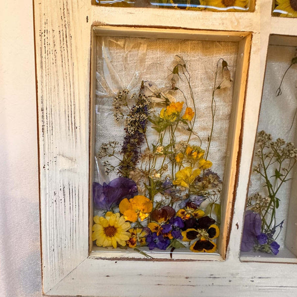 Pressed Flower Window Frame wall art in a distressed white wood frame, with clear resin panes of colorful dried wildflowers and a dragonfly.
