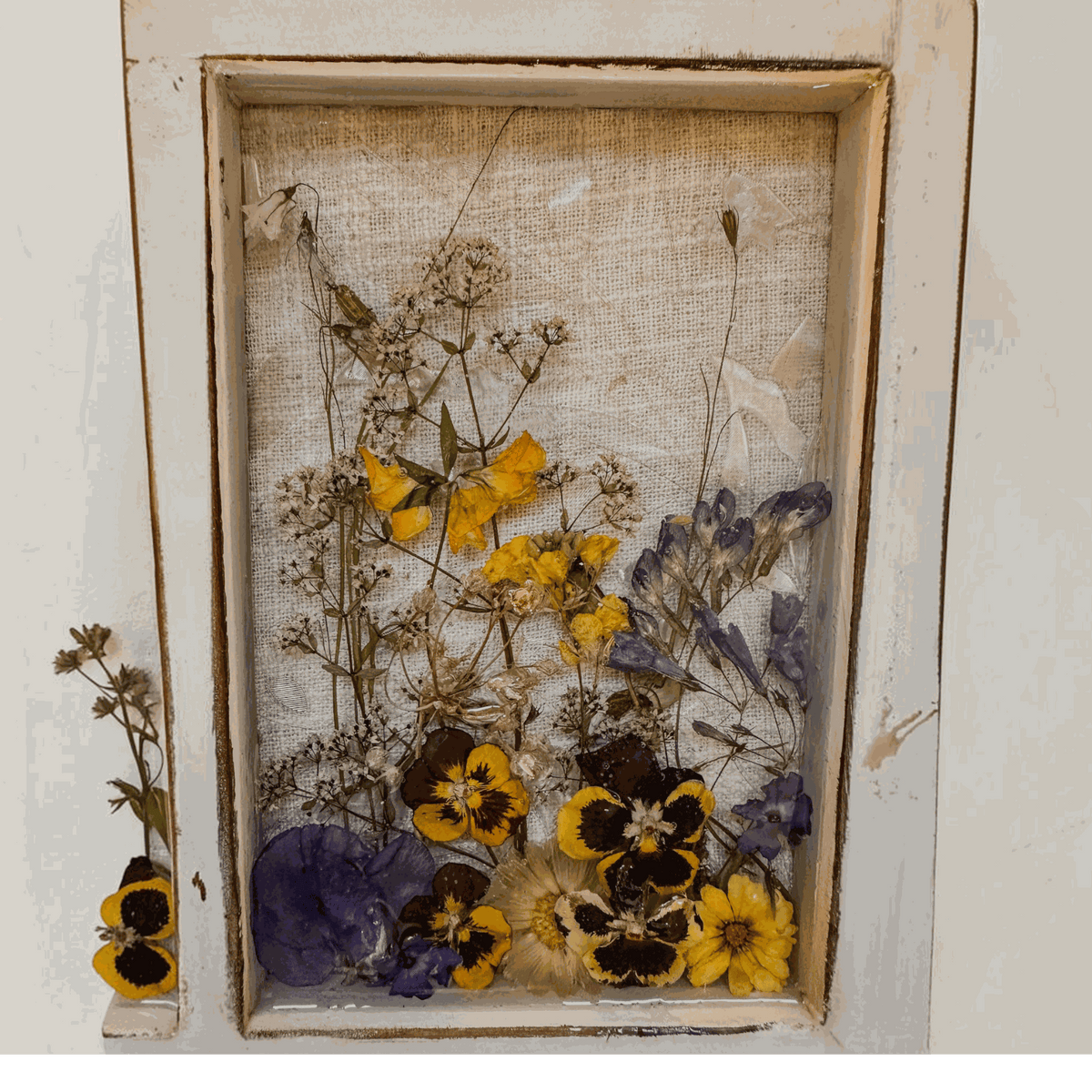 Pressed Flower Window Frame with a distressed white wood frame, clear resin pane, and yellow, purple and dried brown botanicals.