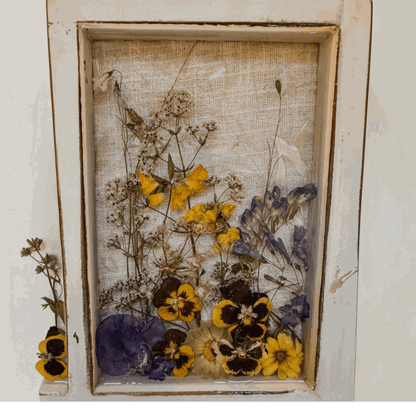 Pressed Flower Window Frame with a distressed white wood frame, clear resin pane, and yellow, purple and dried brown botanicals.