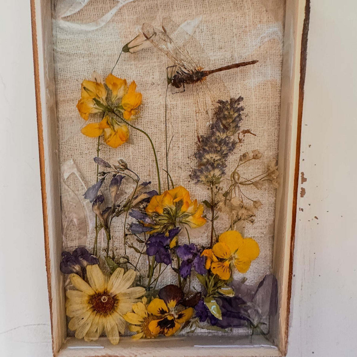 Pressed Flower Window Frame in a distressed white wood frame, with colorful dried flowers and a dragonfly preserved in clear panes.