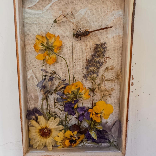 Pressed Flower Window Frame in a distressed white wood frame, with colorful dried flowers and a dragonfly preserved in clear panes.