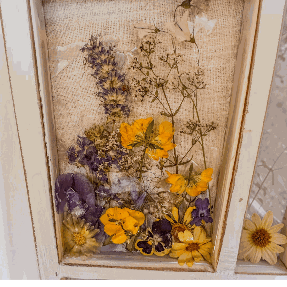 Pressed Flower Window Frame wall art with white distressed wood, clear resin panes, purple and yellow dried flowers and a dragonfly.