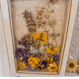 Pressed Flower Window Frame wall art with white distressed wood, clear resin panes, purple and yellow dried flowers and a dragonfly.