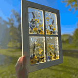 Pressed Flower Window Frame with four resin panes of yellow and purple wildflowers in a distressed white wood frame.