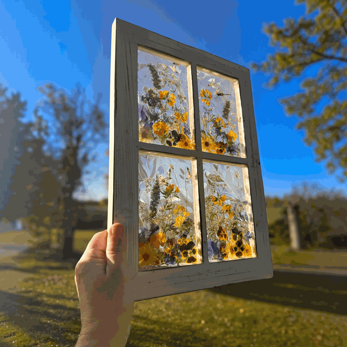 Pressed Flower Window Frame wall art in distressed white wood, with four clear resin panes of golden dried flowers and greenery.